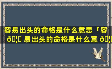 容易出头的命格是什么意思「容 🦋 易出头的命格是什么意 🦅 思啊」